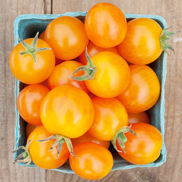 Tomatoes