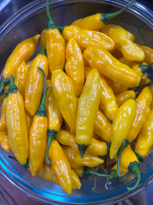 Yellow Limón Lightning peppers with green stems in a clear glass bowl