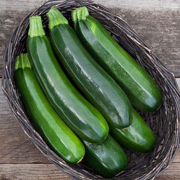 Zucchini, Dark Star