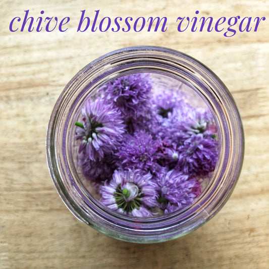 Chive Blossom Vinegar Recipe