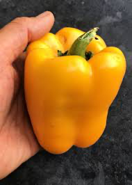 Bell Pepper, Marta Polka