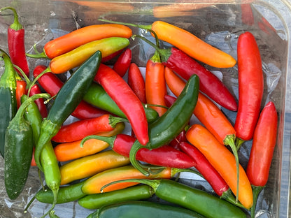 Hot Pepper, Serrano Huasteca