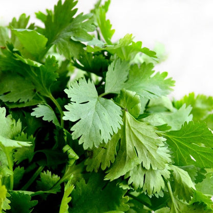 Spring Greens mix, 6pk