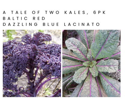 A Tale of Two Kales 6pk