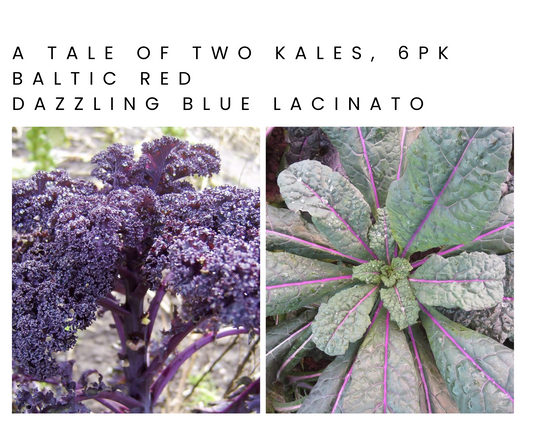 A Tale of Two Kales 6pk