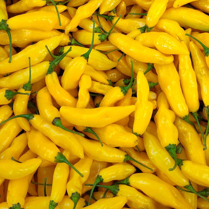 Close-up of a pile of yellow peppers with green stems.