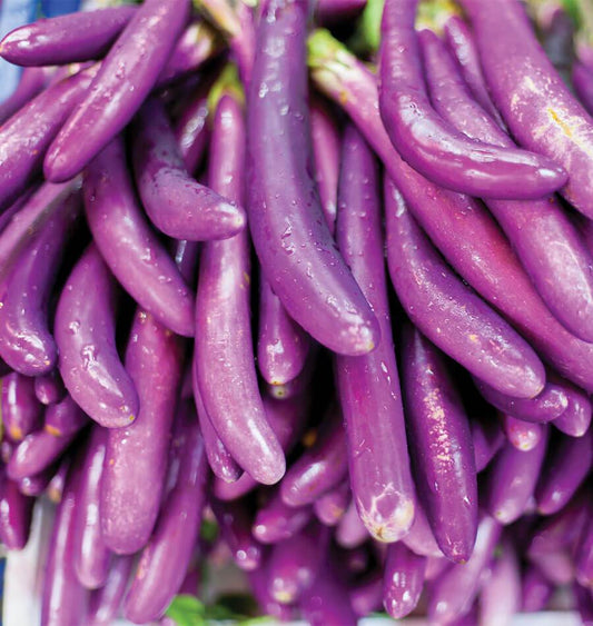 A cluster of Ping Tung Long eggplants with a glossy lavender-magenta hue.
