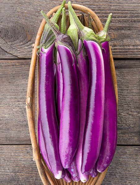 Eggplant, Ping Tung Long