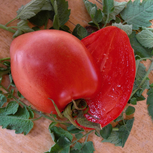 Tomato, Hungarian Heart
